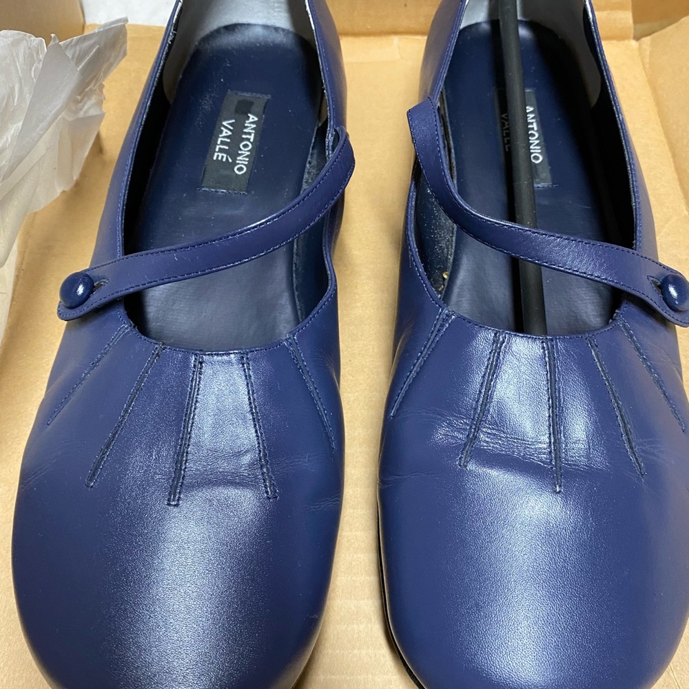 Blue Mary Jane Flats with Strap